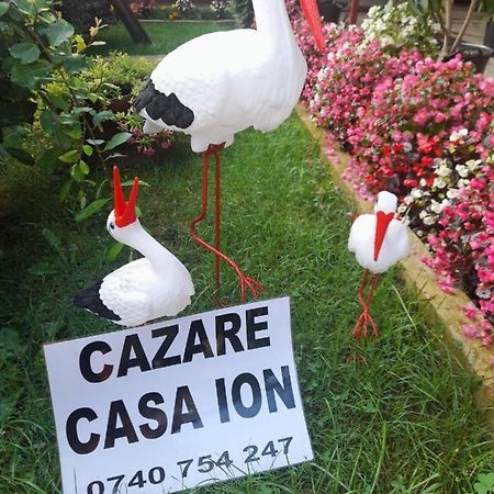 Casa Ion Horezu Exterior foto