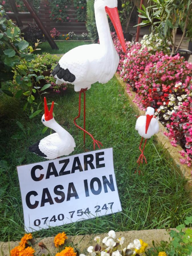 Casa Ion Horezu Exterior foto