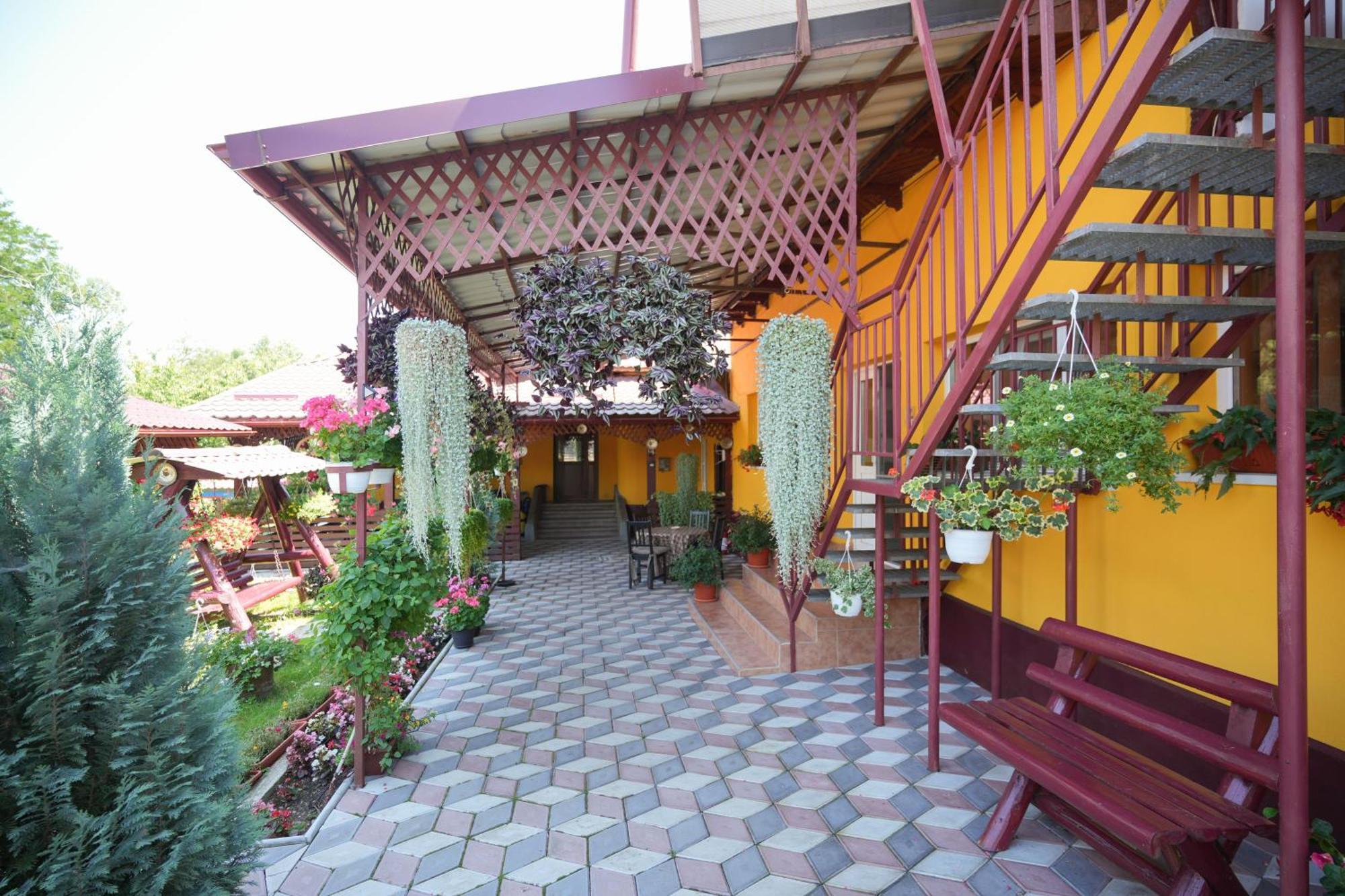 Casa Ion Horezu Exterior foto