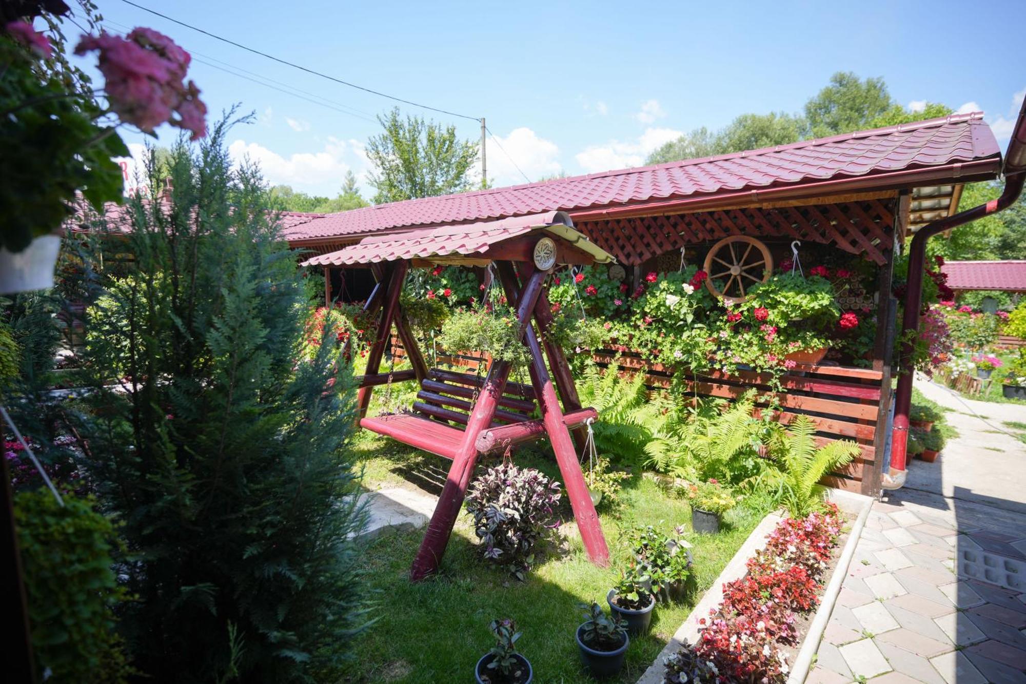 Casa Ion Horezu Exterior foto