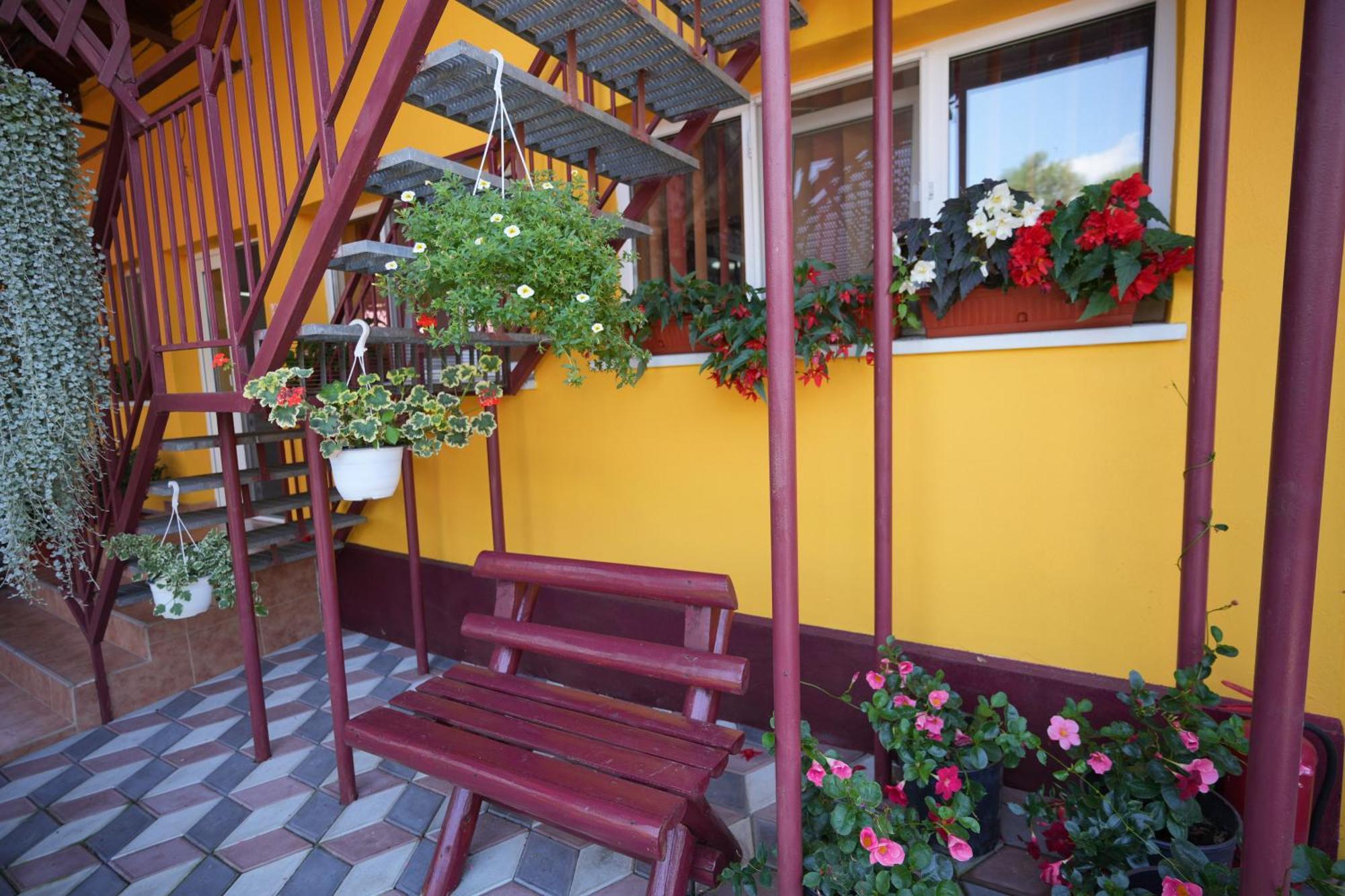 Casa Ion Horezu Exterior foto