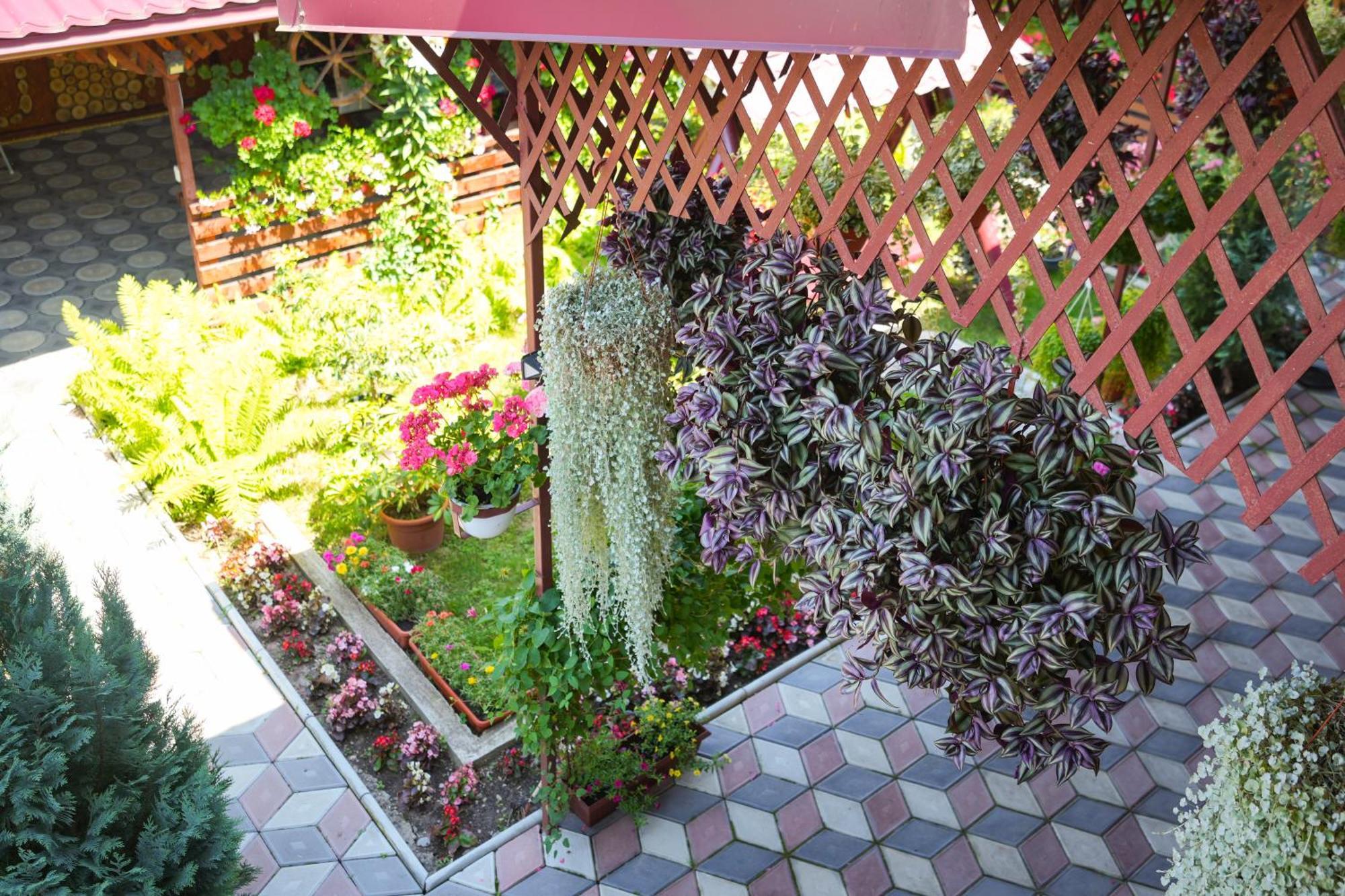 Casa Ion Horezu Exterior foto
