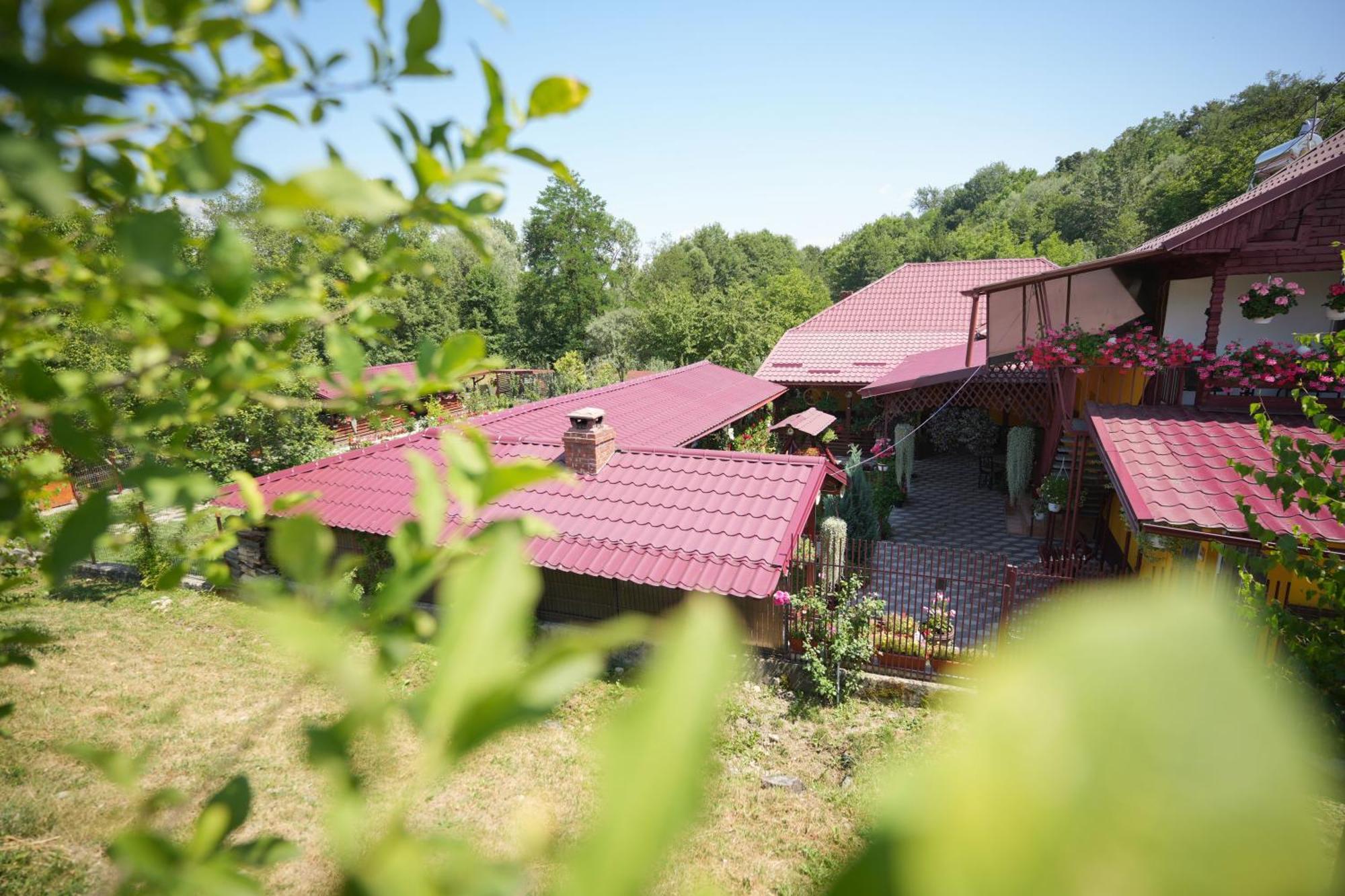 Casa Ion Horezu Exterior foto
