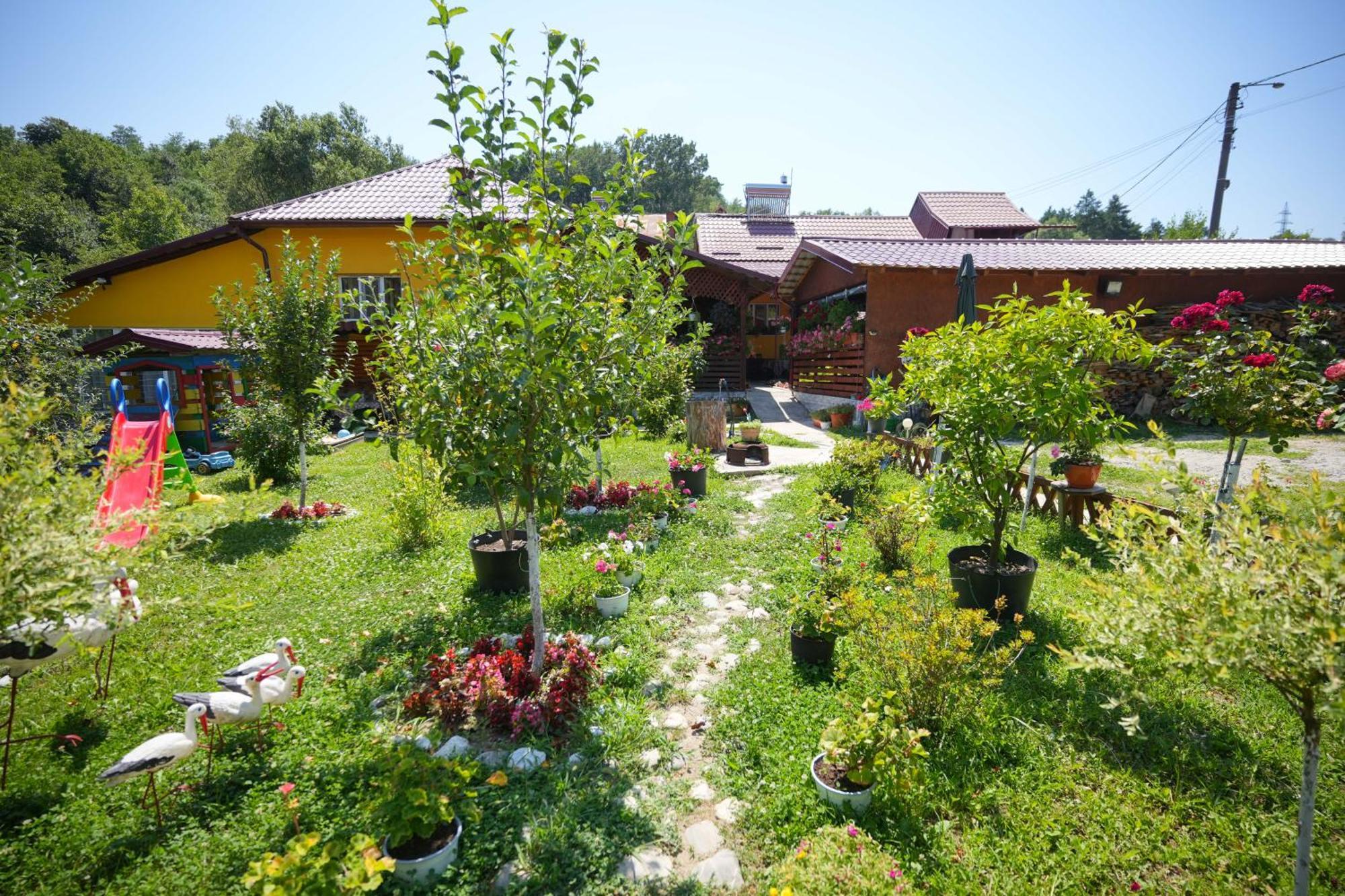 Casa Ion Horezu Exterior foto