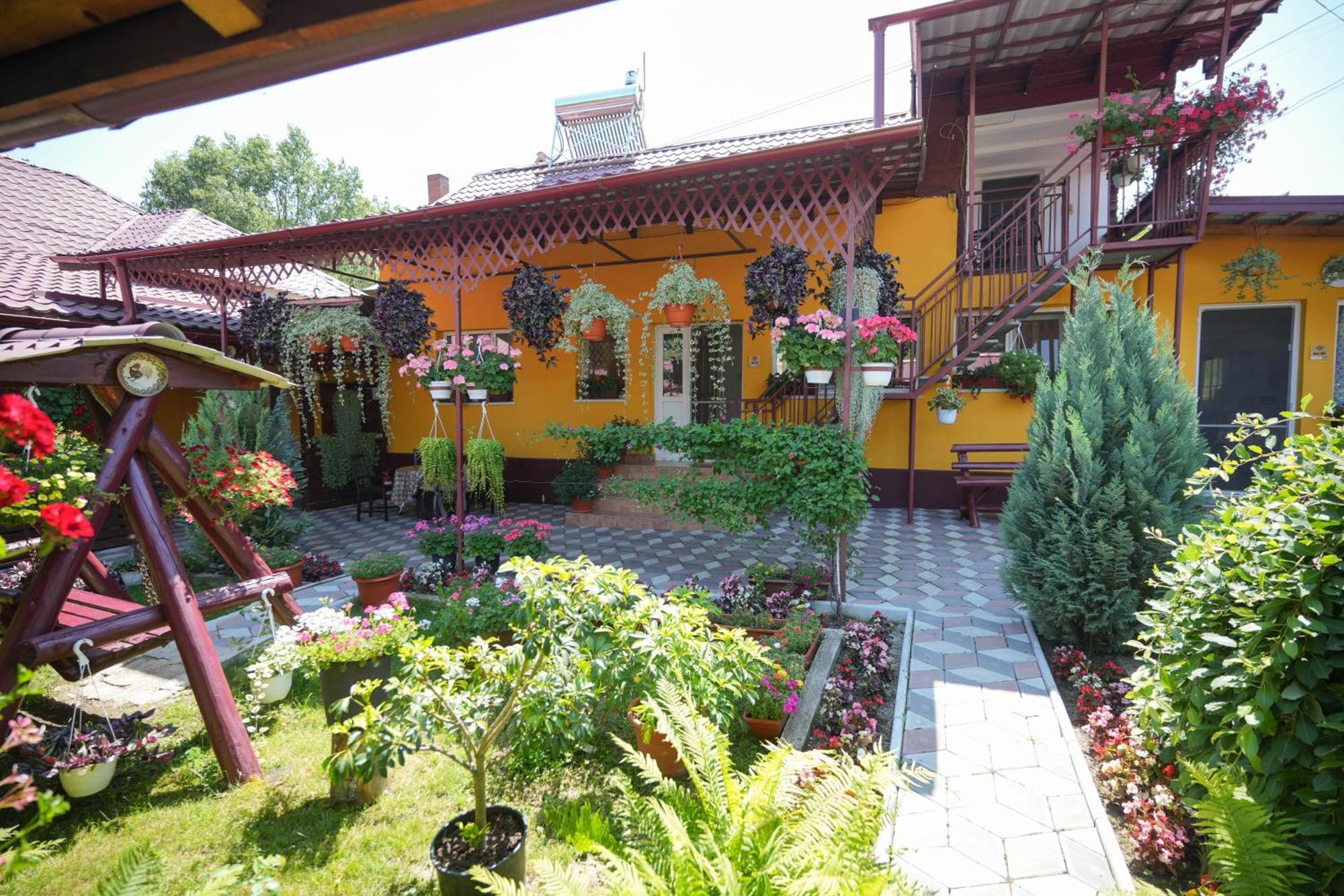 Casa Ion Horezu Exterior foto