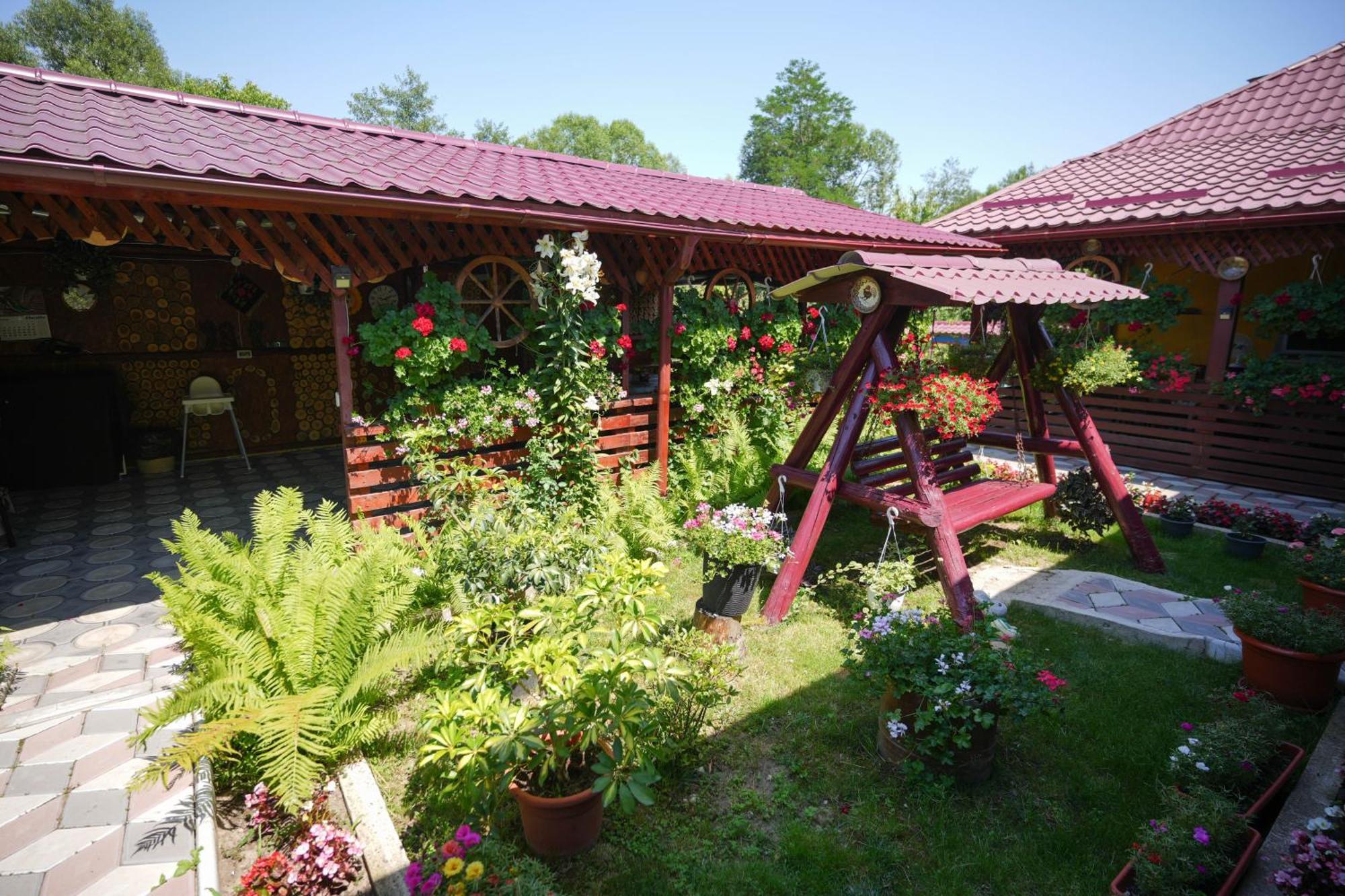 Casa Ion Horezu Exterior foto