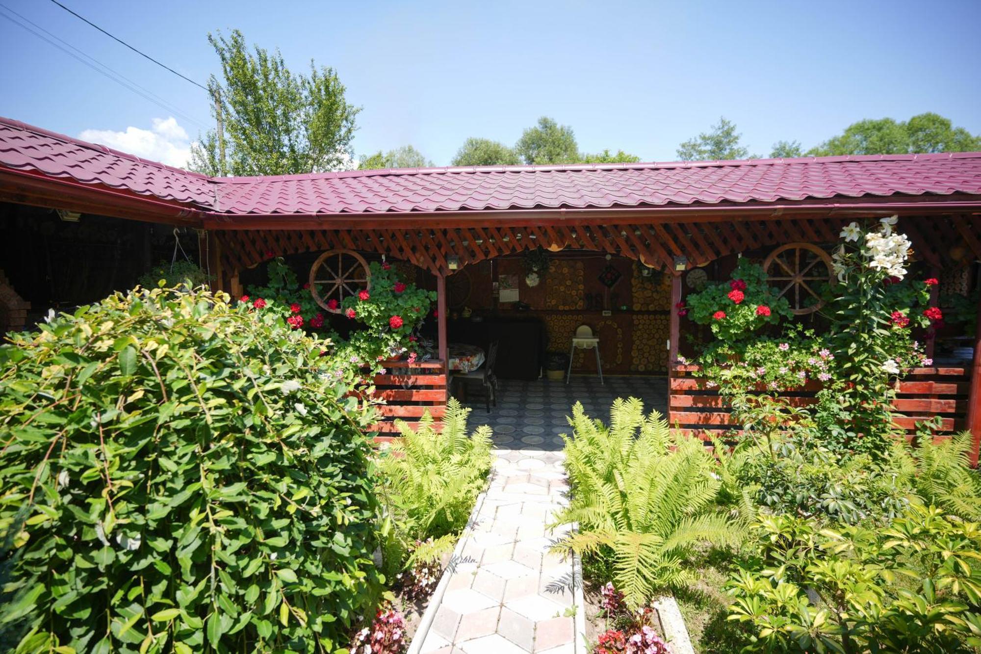 Casa Ion Horezu Exterior foto