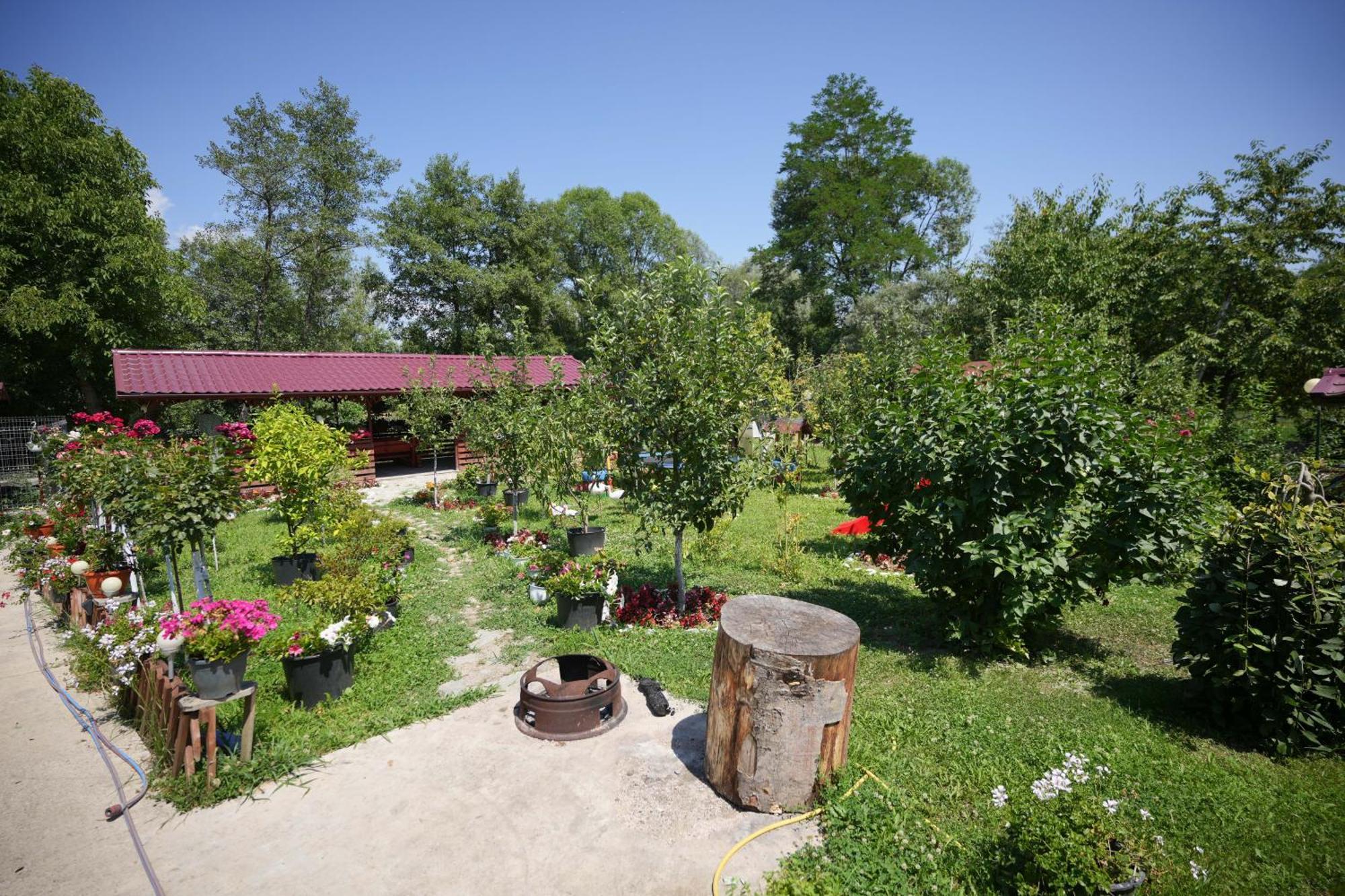 Casa Ion Horezu Exterior foto