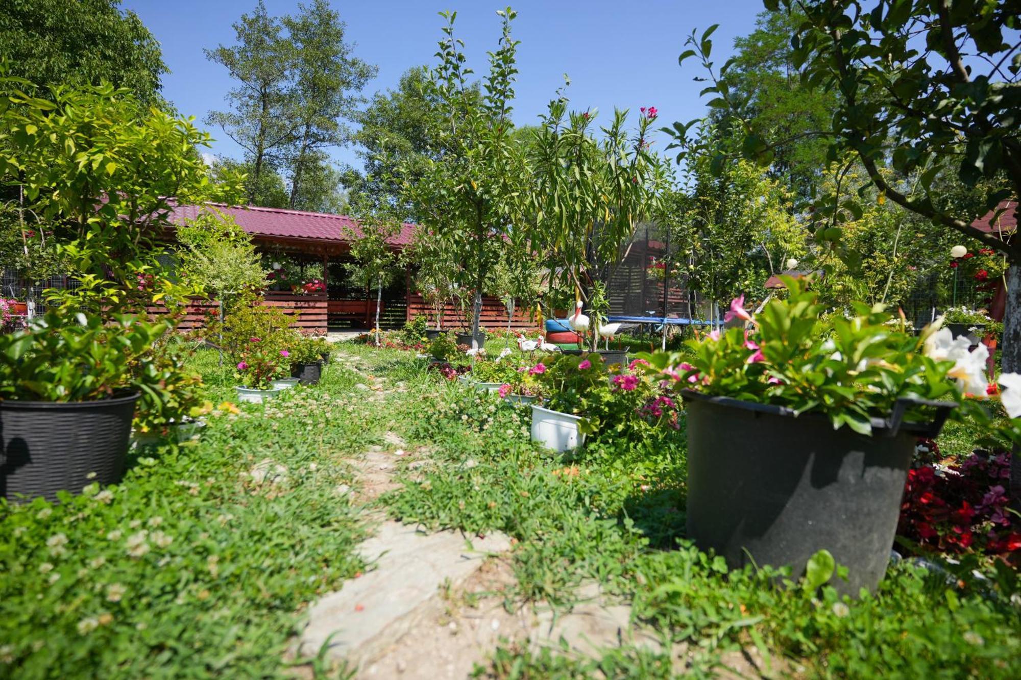 Casa Ion Horezu Exterior foto