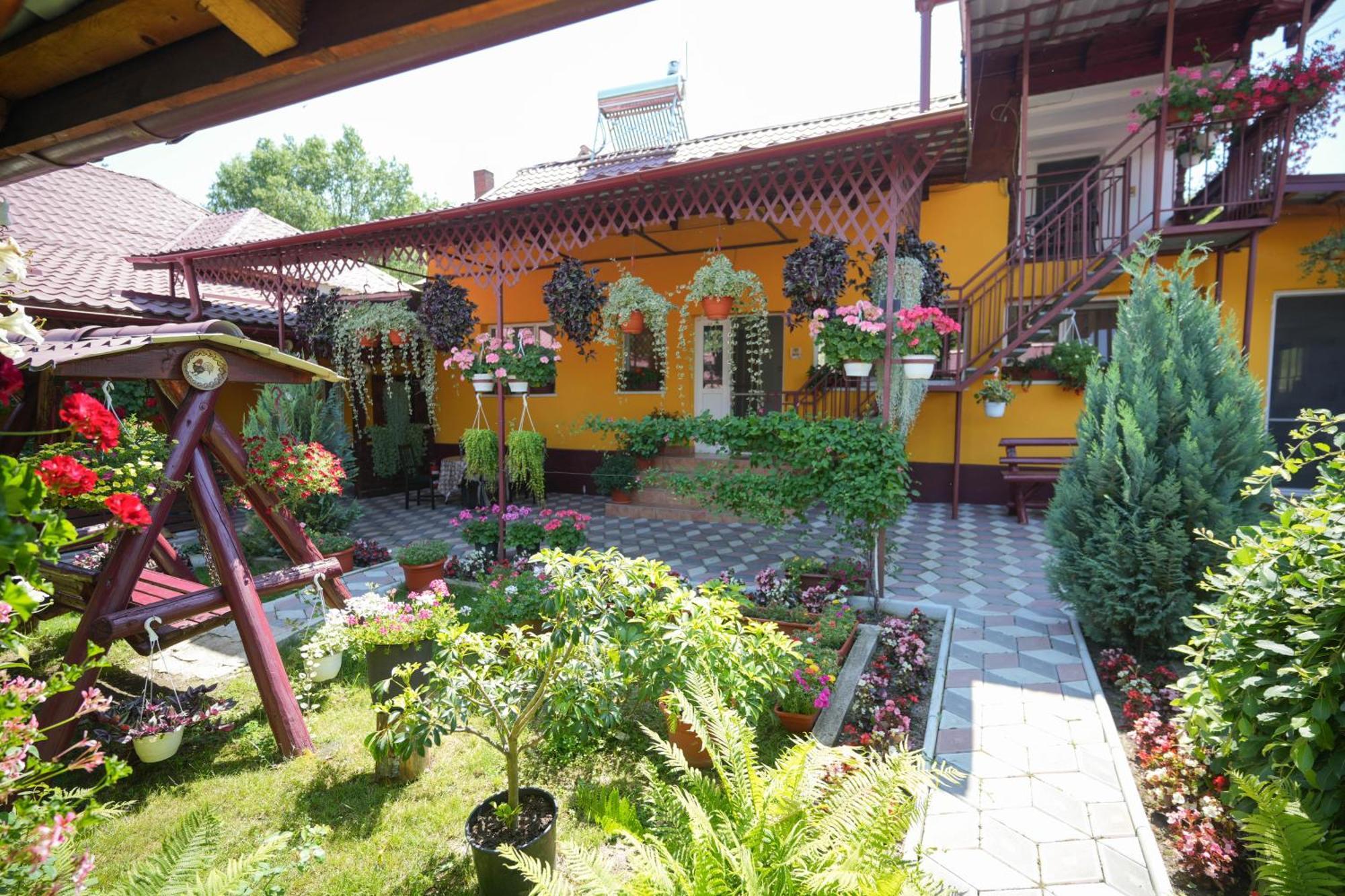 Casa Ion Horezu Exterior foto