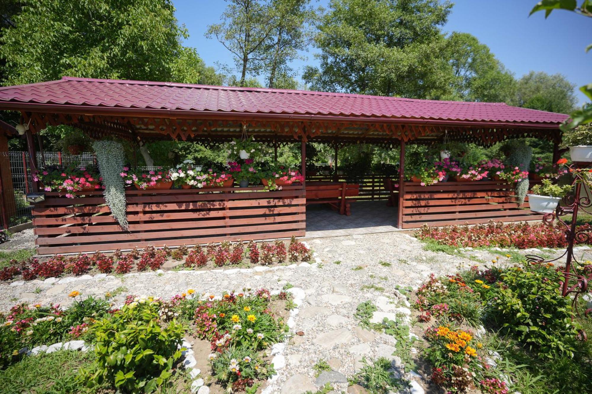 Casa Ion Horezu Exterior foto