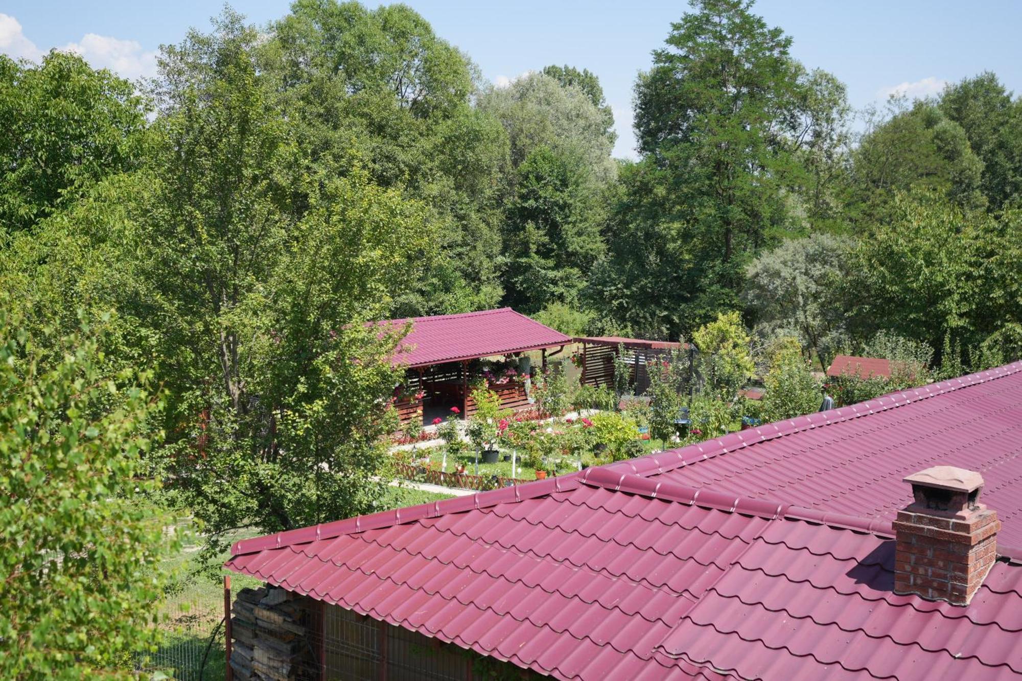 Casa Ion Horezu Exterior foto