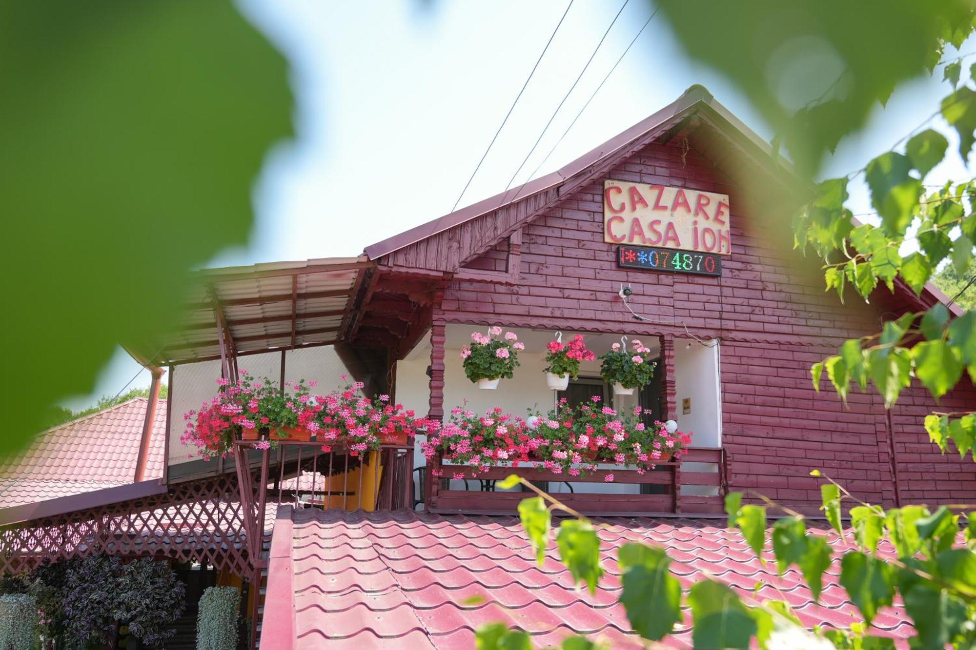 Casa Ion Horezu Exterior foto