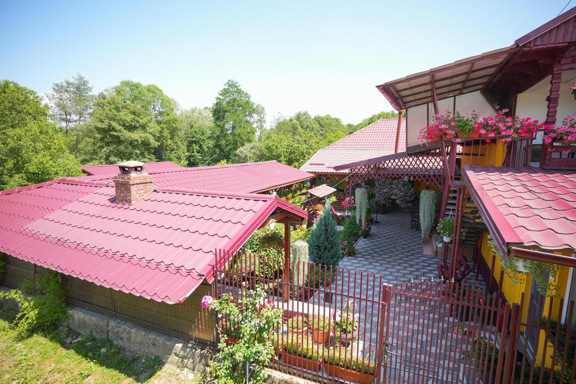 Casa Ion Horezu Exterior foto